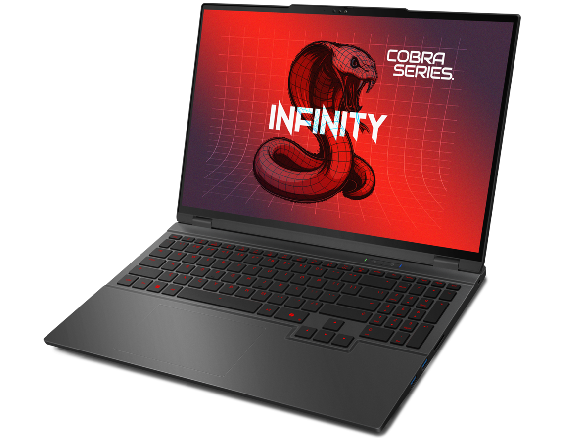 Infinity Gaming Fox laptop notebook - Free Delivery and No Surcharge ...