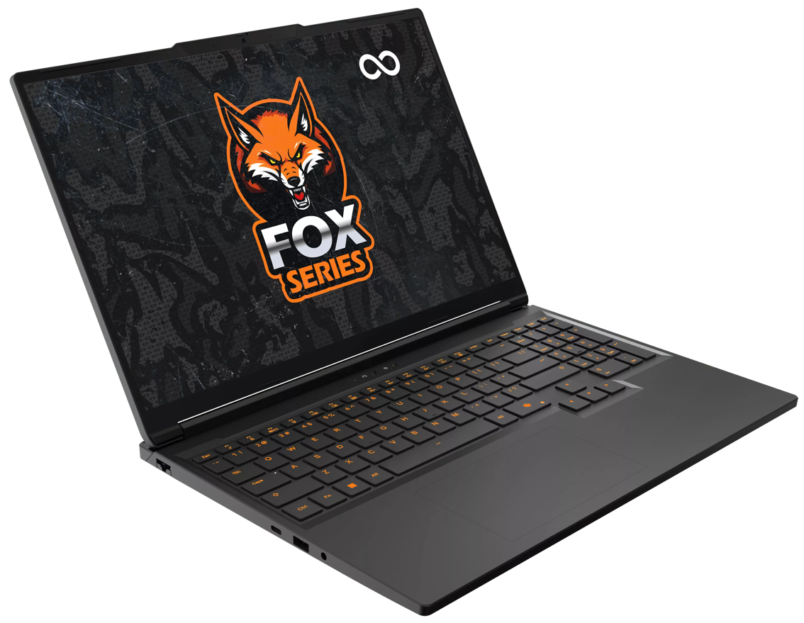 Infinity Gaming Fox laptop notebook - Free Delivery and No Surcharge ...